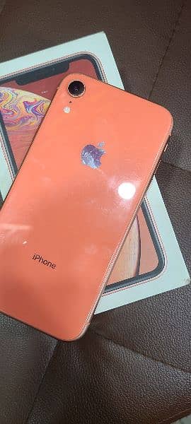 iphone Xr approved 2
