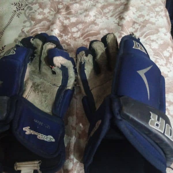 cricket peds and gloves best quality fix price 2