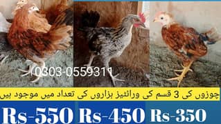 female and male hens for sale in khushab