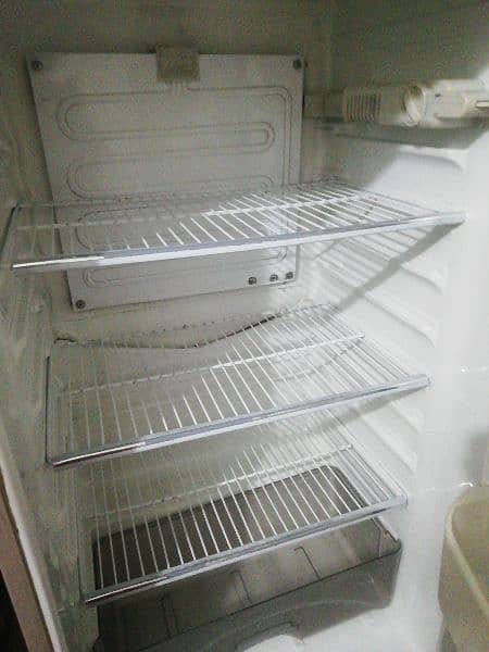 large fridge 1