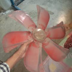 Coller Motor with Fan