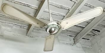 Fan for sale - S Mohd Din and sons