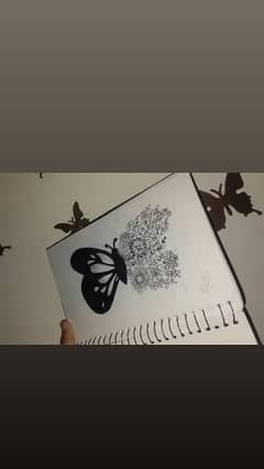 Sketching of butterfly