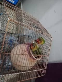 2 fisher for sale Rs 2000 only 03358109744