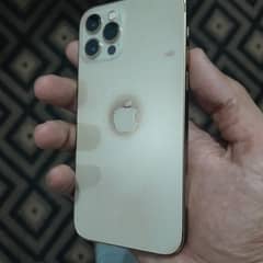 Iphone 12 Pro (Golden Color)