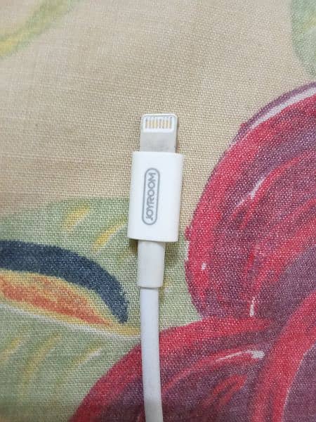 iPhone Dual Lightning Cable 1