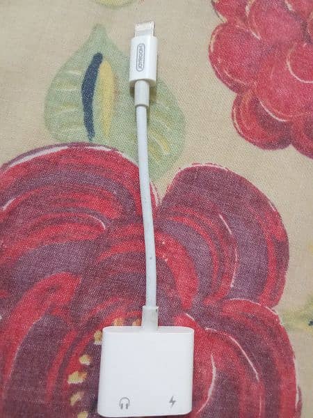 iPhone Dual Lightning Cable 2