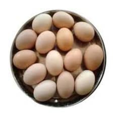 Desi Eggs Available