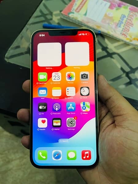 IPhone 12pro max PTA approved 256Gb 1