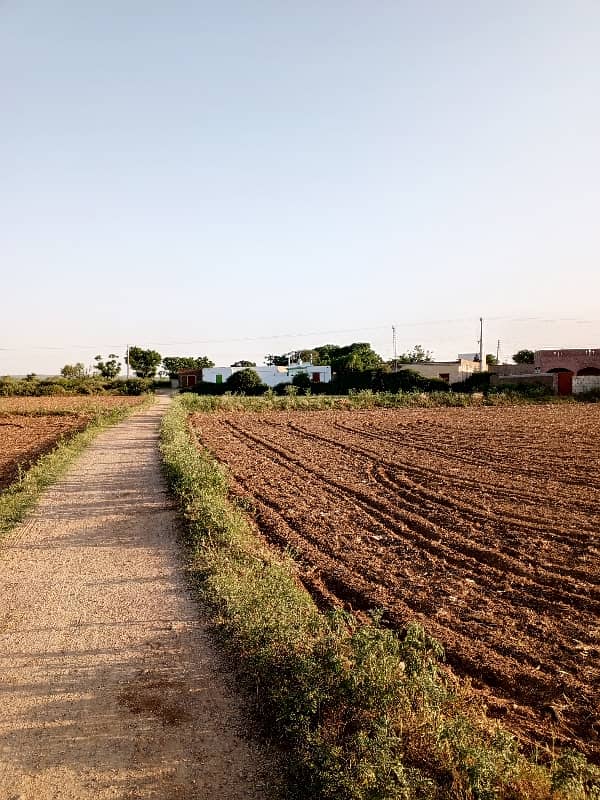48 knal agriculture land for sale rhana Sadat 1