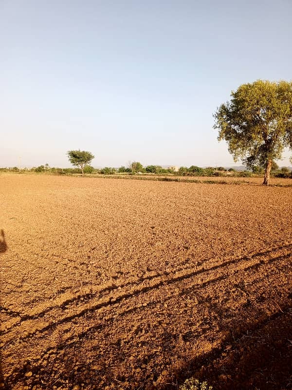 48 knal agriculture land for sale rhana Sadat 3