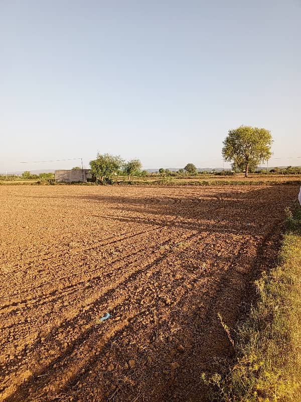 48 knal agriculture land for sale rhana Sadat 8