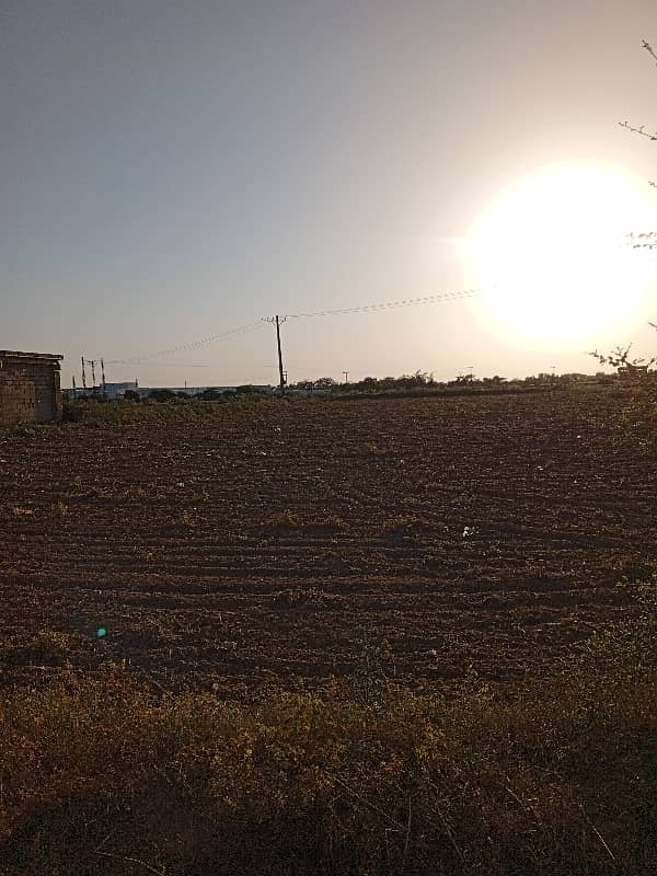 48 knal agriculture land for sale rhana Sadat 9