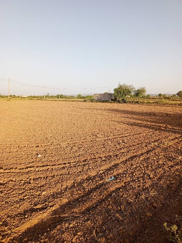 48 knal agriculture land for sale rhana Sadat 10