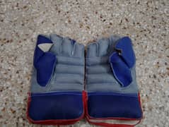 New GM Wicket Keeping Gloves in good quality
