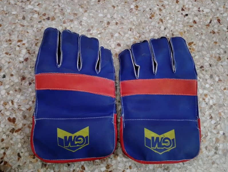 New GM Wicket Keeping Gloves in good quality 1