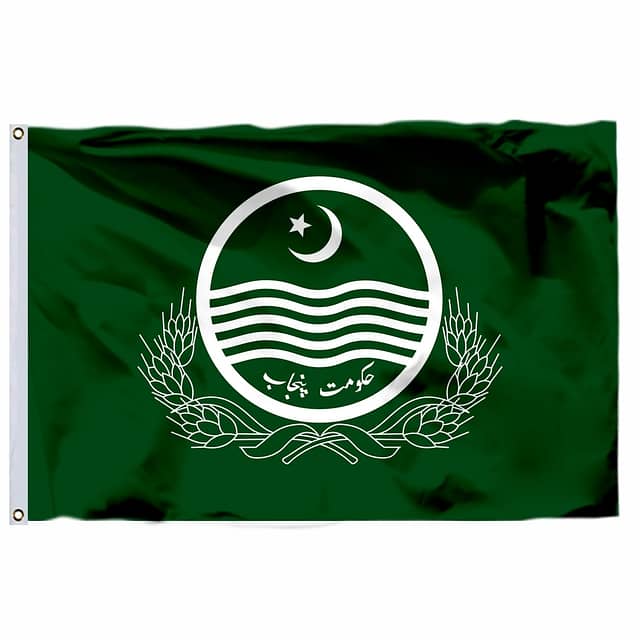 Indoor Flag & Pole for Punjab Government Office Decoration, Table Flag 6