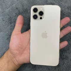 iphone 12 pro max complete box emarjanc sell