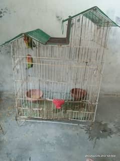 green fisher pair with cage