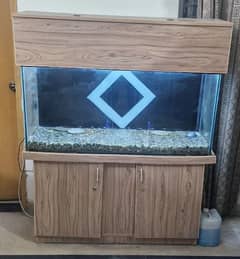 Fish Aquarium With Accessories