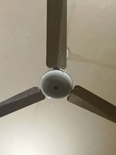 10/10 condition 3 Fans available