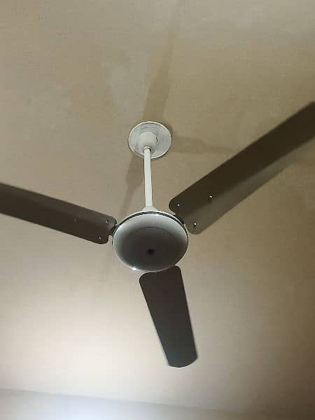 10/10 condition 3 Fans available 2