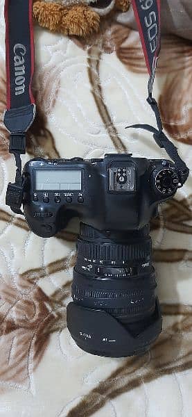 canon 6d Body, Lens 24x70mm , 2.8: Grip, 2 Battery & Charger For Dale 2