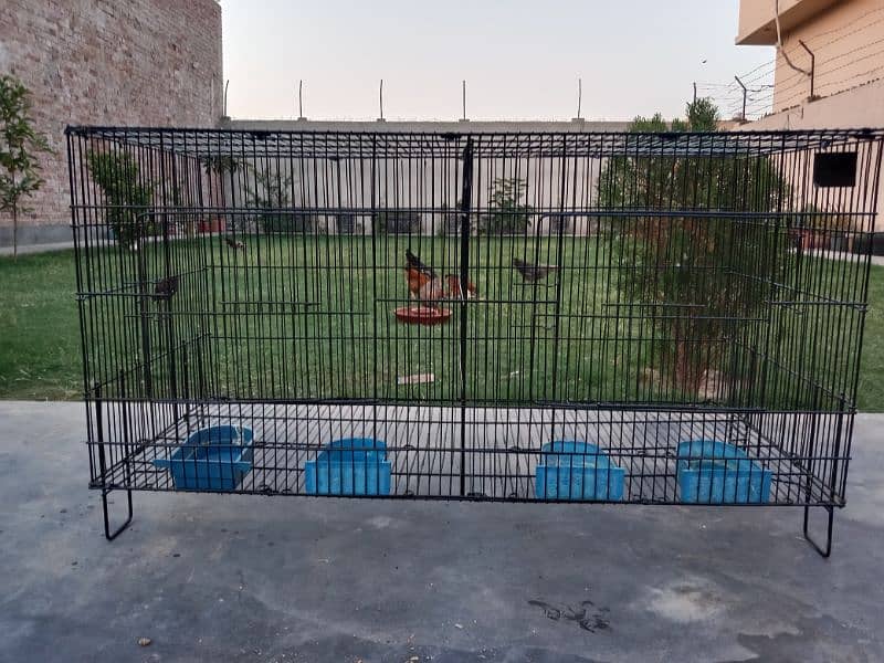 Cages for sale 6
