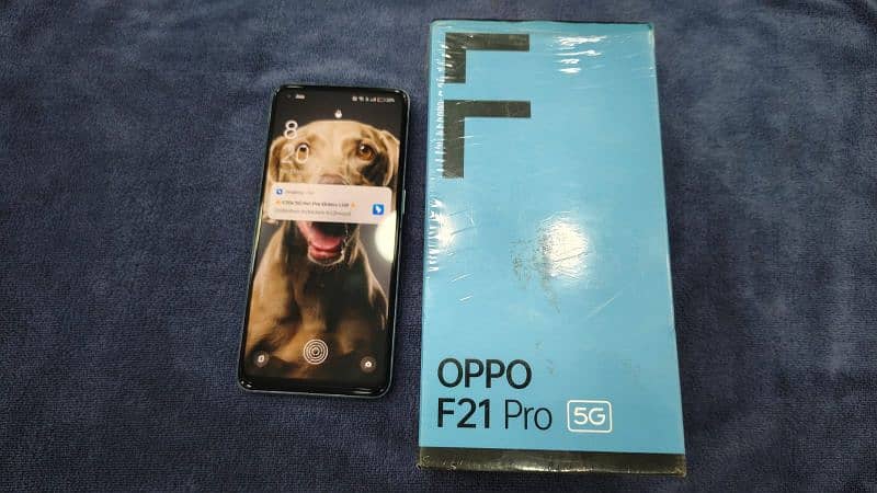 oppo F21 pro 5G (8/128) Amoled display in Display fingerprint 1