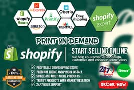 I will build your Shopify Store 0