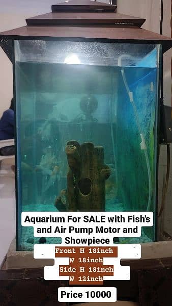 Aquarium for sale with Table 0