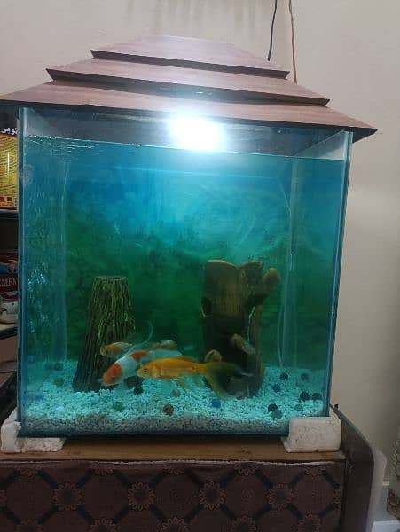 Aquarium for sale with Table 3