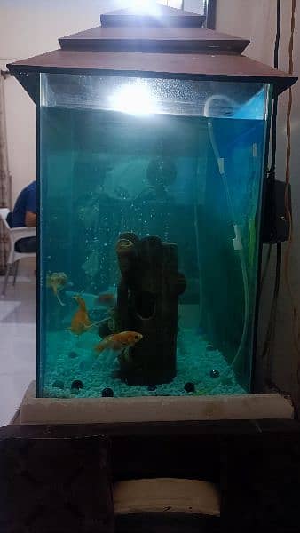 Aquarium for sale with Table 5