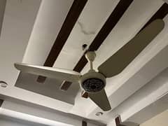 Excellent condition ceiling fan