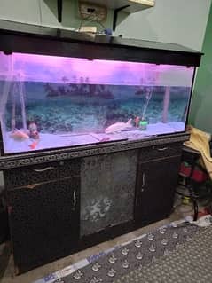Aquarium with fishes for sale