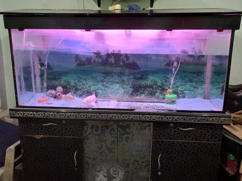 Aquarium with fishes for sale 1