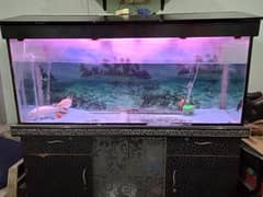 Aquarium without fishes for sale