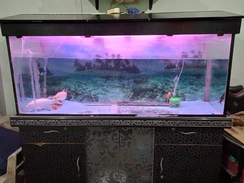 Aquarium with fishes for sale 2