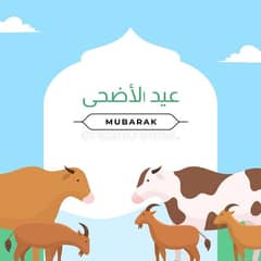 Eid UL azha qurbani service in reasonable price