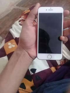 Iphone 7 PTA Approved 128Gb