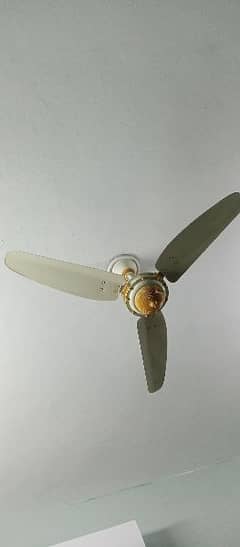 Royal fan only 3 months used almost brand new with warranty