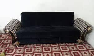 Sofa cum Bed ( Molty Foam)