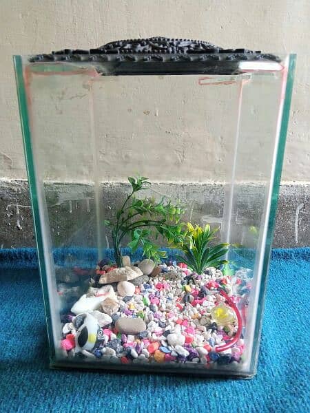 Fish aquarium with all accessories for sale 4