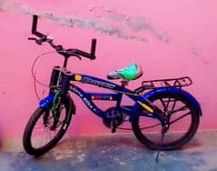 Child Bicycle 0