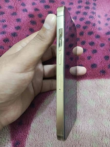 I Phone 13 pro Golden 1