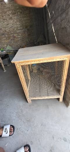 cage for hen/bird 10000 RS