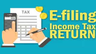 Income , Sales Tax Return Filing , Audit , Business Consultancy
