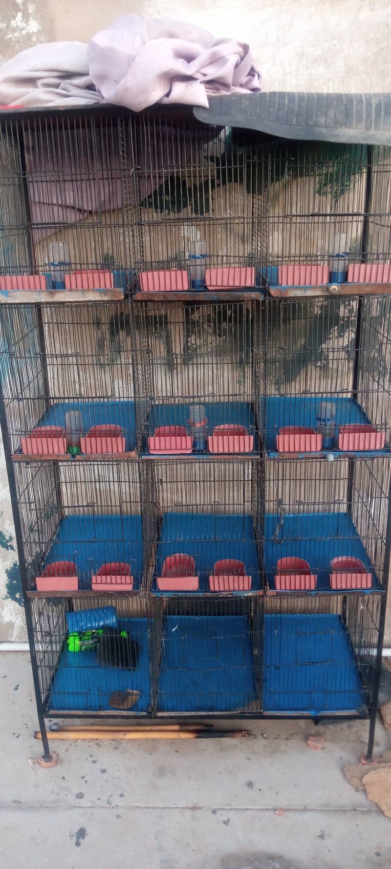 Parrot cage 12 partion 1