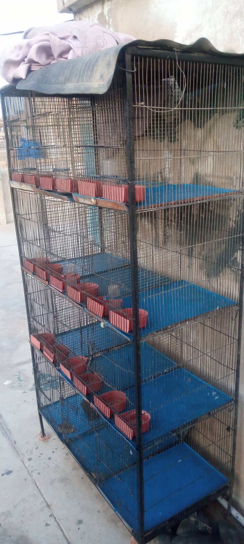 Parrot cage 12 partion 2