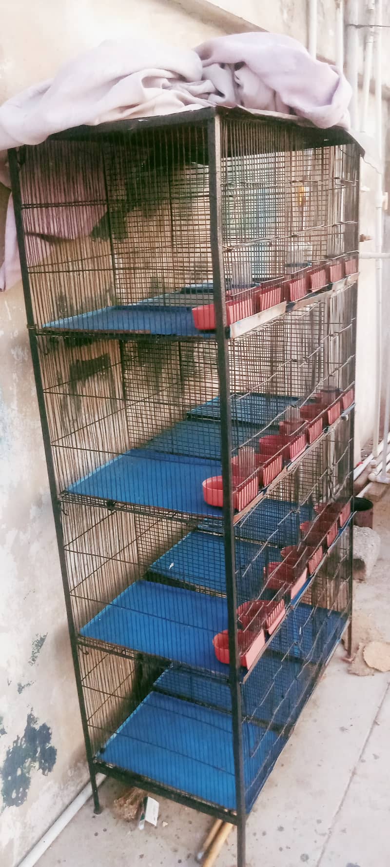 Parrot cage 12 partion 3